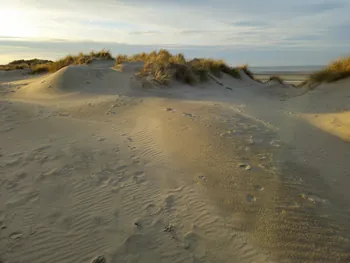 Oostnieuwkerke duinen wandeling in de koude (België)